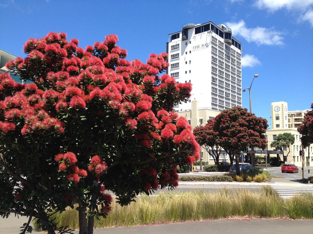 Bay Plaza Hotel Wellington Exteriér fotografie