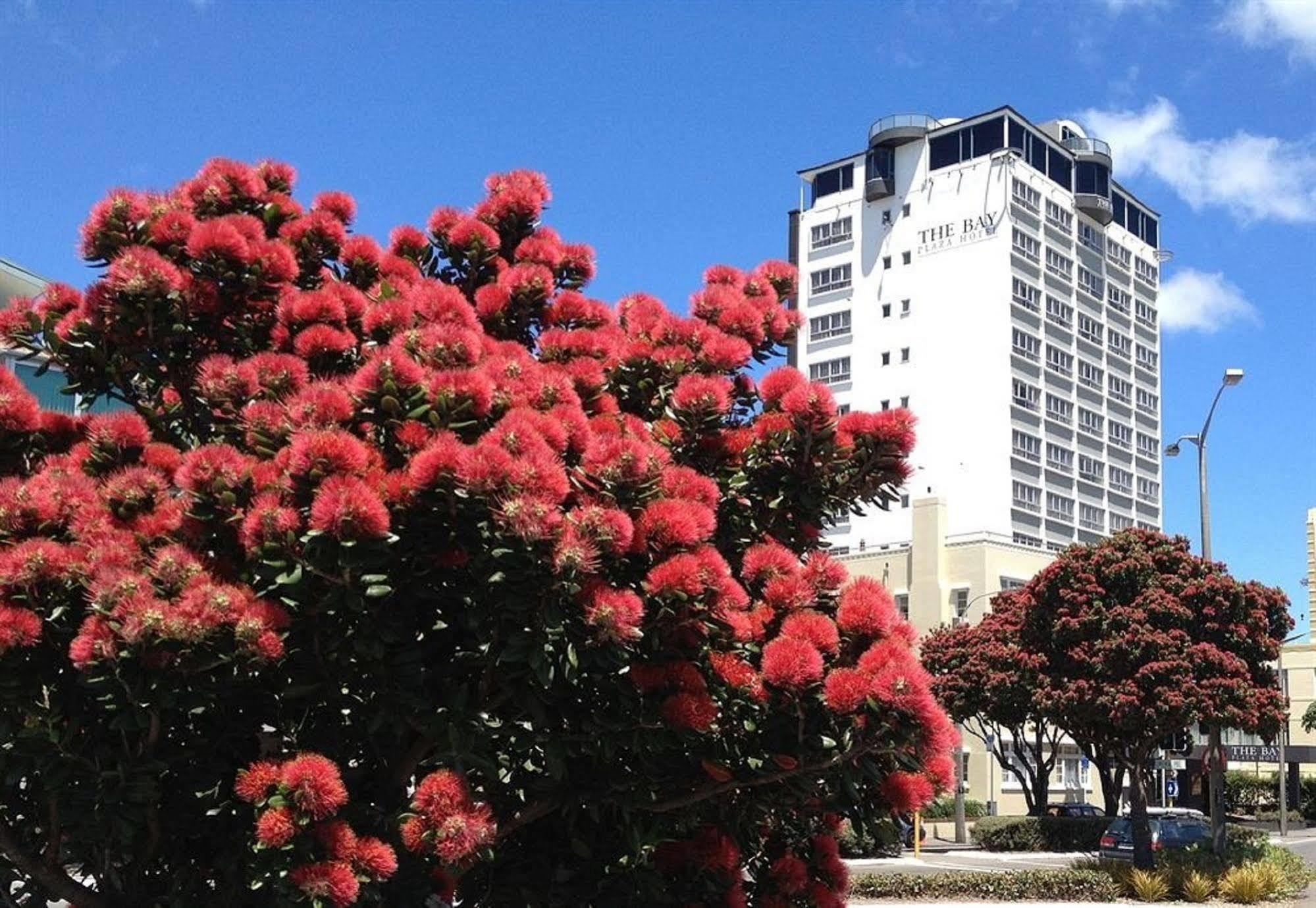 Bay Plaza Hotel Wellington Exteriér fotografie